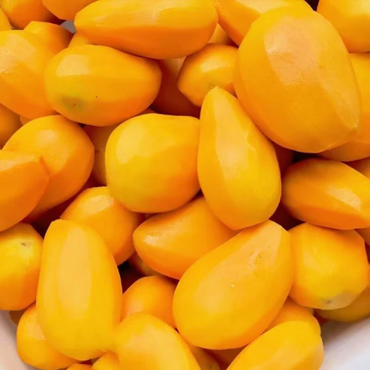 Nutrient-Rich Mango